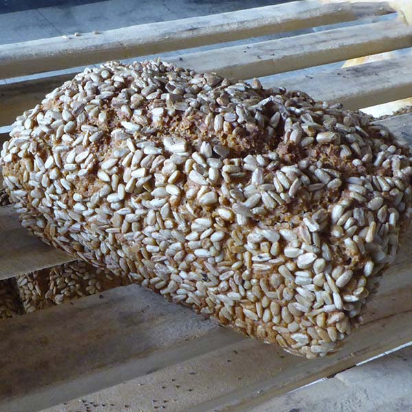Bio Dinkelvollkornbrot Holzofenbäckerei Mangold Herdtlinsweiler